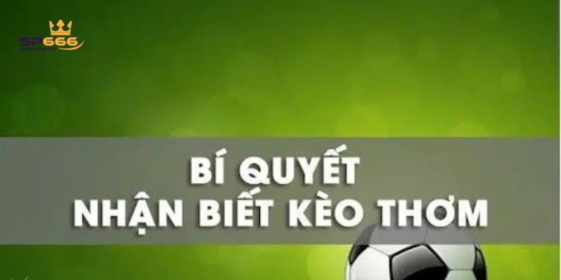 Kèo Thơm Là Gì? 5 Cách Nhận Biết Và Lựa Chọn Kèo Thơm Chuẩn 2 Nhận biết kèo thơm nhờ thực lực đội bóng